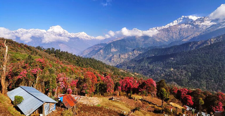 Experience Nepal treks tours